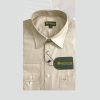 Beige Modern Fit Formal Shirt
